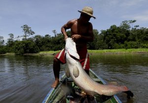 Imagem da notícia - REALIZADA PELA FEI, 1ª FEIRA DO PESCADO INDÍGENA INICIA NESTA SEXTA-FEIRA (18/12)