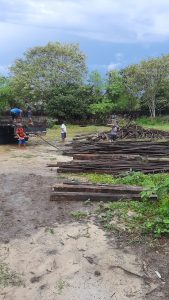 Imagem da notícia - Governo do Amazonas por meio da FEI, destina madeira a comunidades indígenas de Manaus