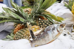 Imagem da notícia - FEI e ADS doam cinco toneladas de pescado e seis toneladas de frutas a comunidades indígenas