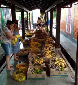 Imagem da notícia - FEI e ADS distribuem nove toneladas de frutas em aldeias e comunidades indígenas de Manaus