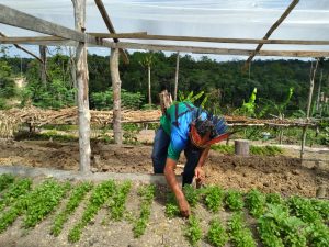 Imagem da notícia - Governo do Amazonas, por meio da FEI, homenageia agricultores indígenas no Dia do Agricultor