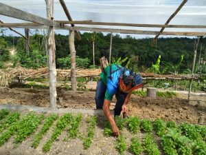 Imagem da notícia - FEI convoca agricultores e empreendedores indígenas para chamada pública para fornecimento de produtos alimentícios
