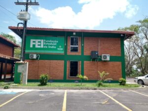 Imagem da notícia - FEI realiza cadastro e atualização de dados de artesãos indígenas