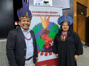 Imagem da notícia - Fepiam participa do Seminário sobre REDD+ e Terras Indígenas no Ministério dos Povos Indígenas, em Brasília